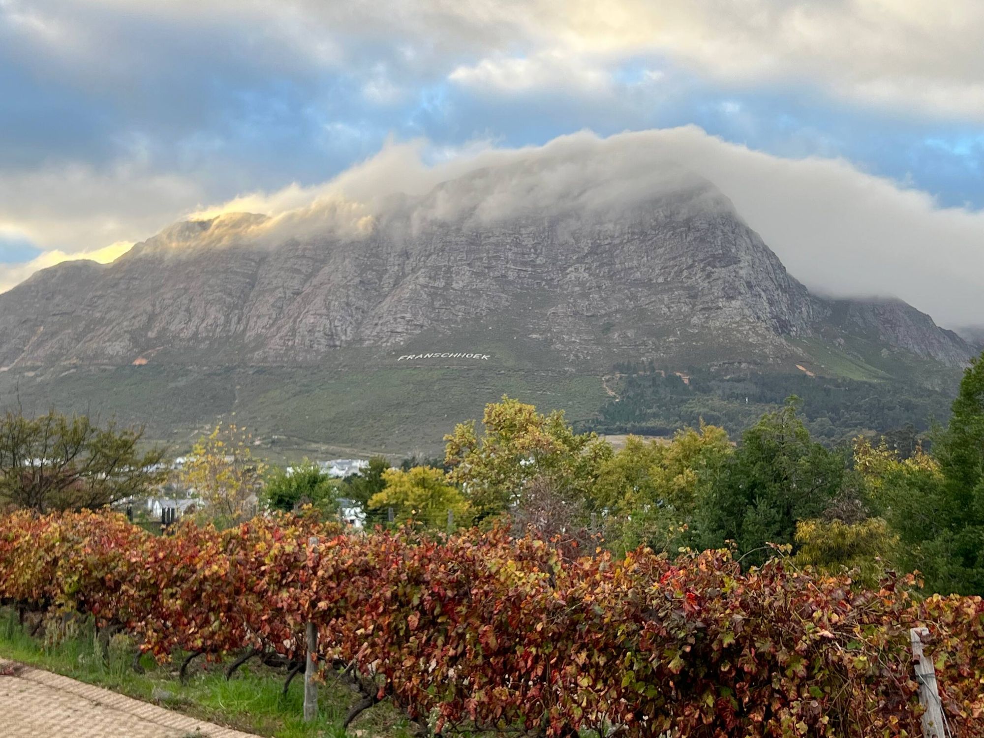 Autumn colours around Franschhoek