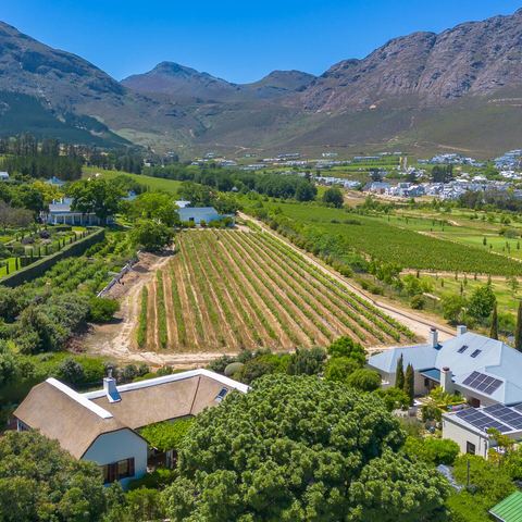 Aerial view of Thatch & Vine House and the Franschhoek valley