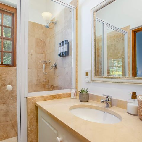 En-suite bathroom with shower