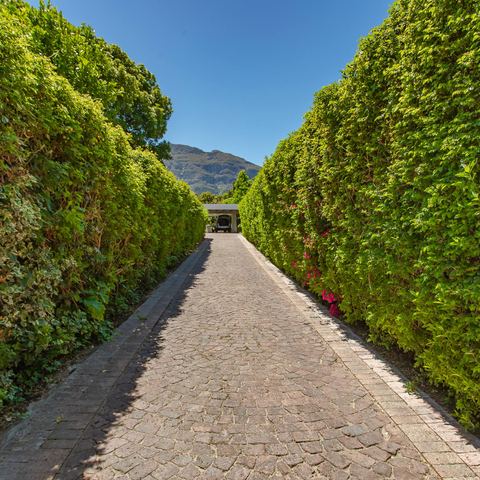 Long gated driveway to the house