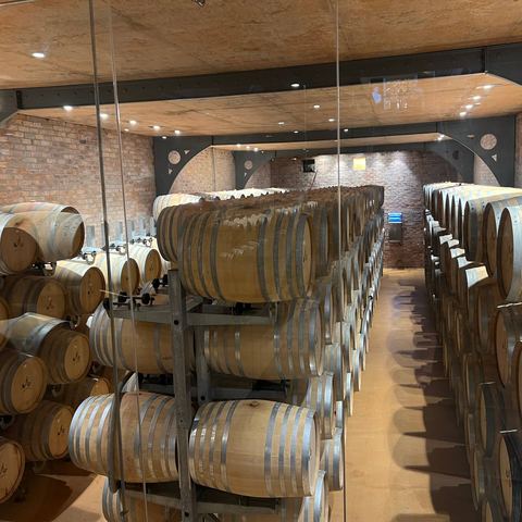 Barrel cellar at a local wine estate